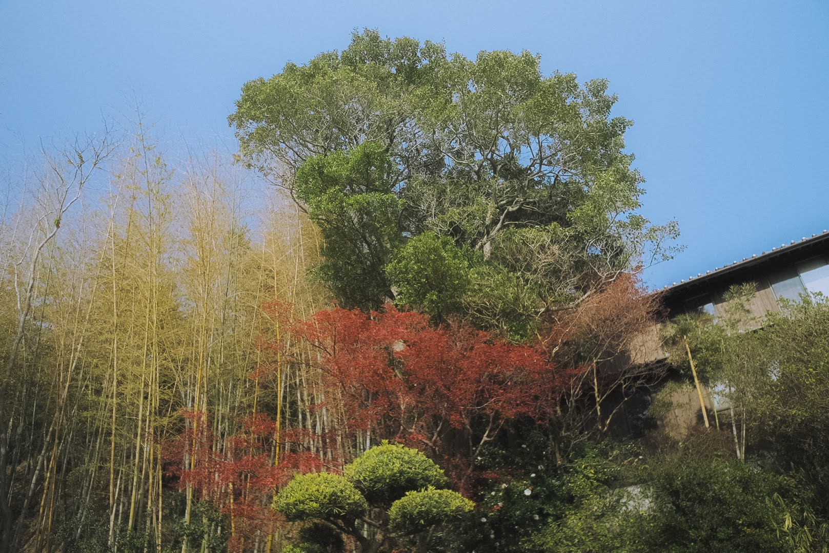 淡路島の貸別荘【古淡】