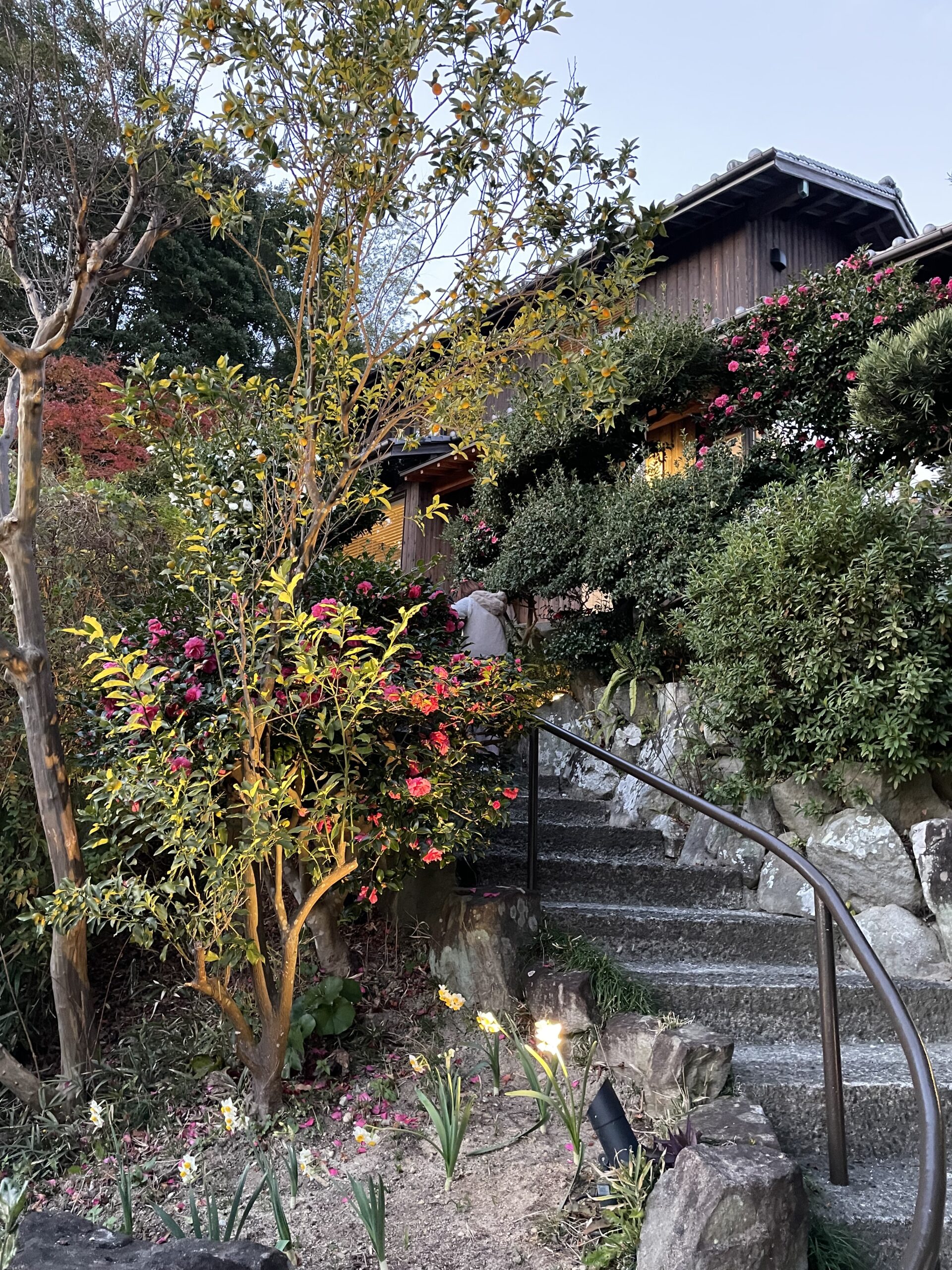 古淡　アプローチ