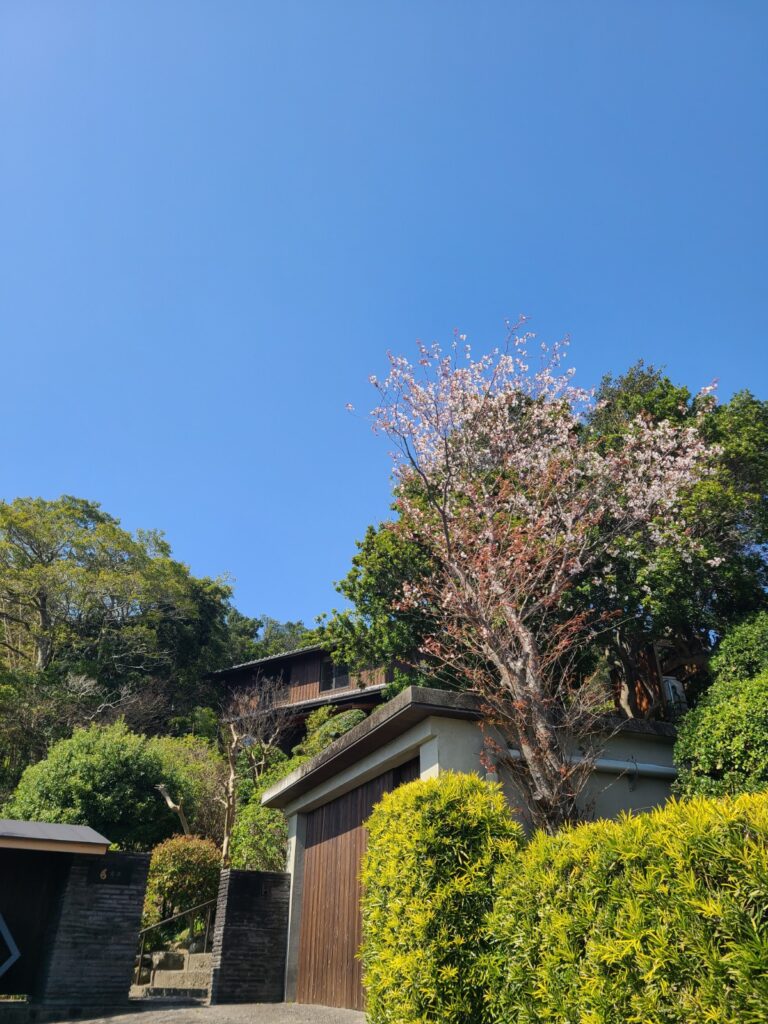 古淡　外観